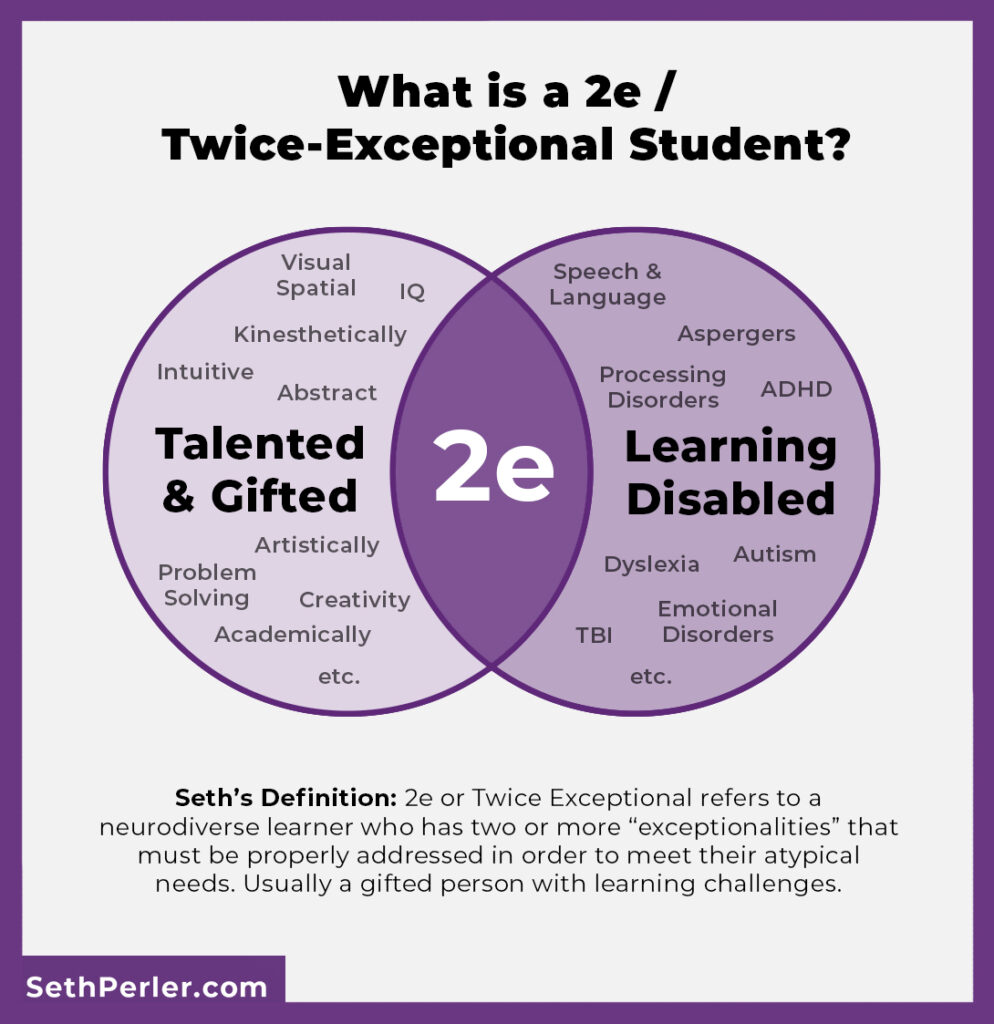 Frontiers | Academic (Under)achievement of Intellectually Gifted Students  in the Transition Between Primary and Secondary Education: An Individual  Learner Perspective